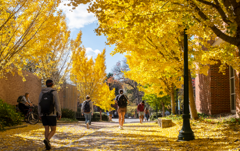 Students walk around the campus of UNC–Chapel Hill among trees with yellow leaves.