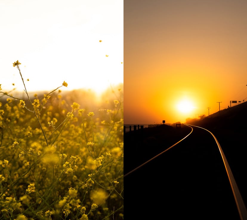 Photos of flowers and a sunrise.