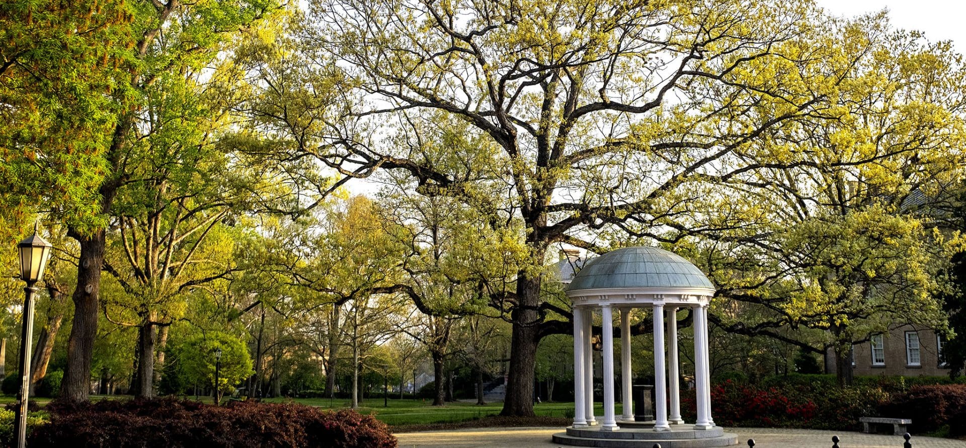 The Old Well surrounded by green trees on the campus of the University of North Carolina at Chapel Hill.
