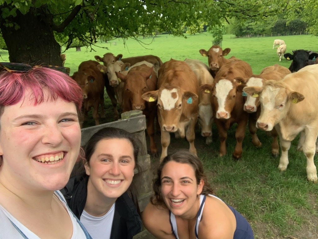 Three women smiling in front of a group of cows on a sunny day.