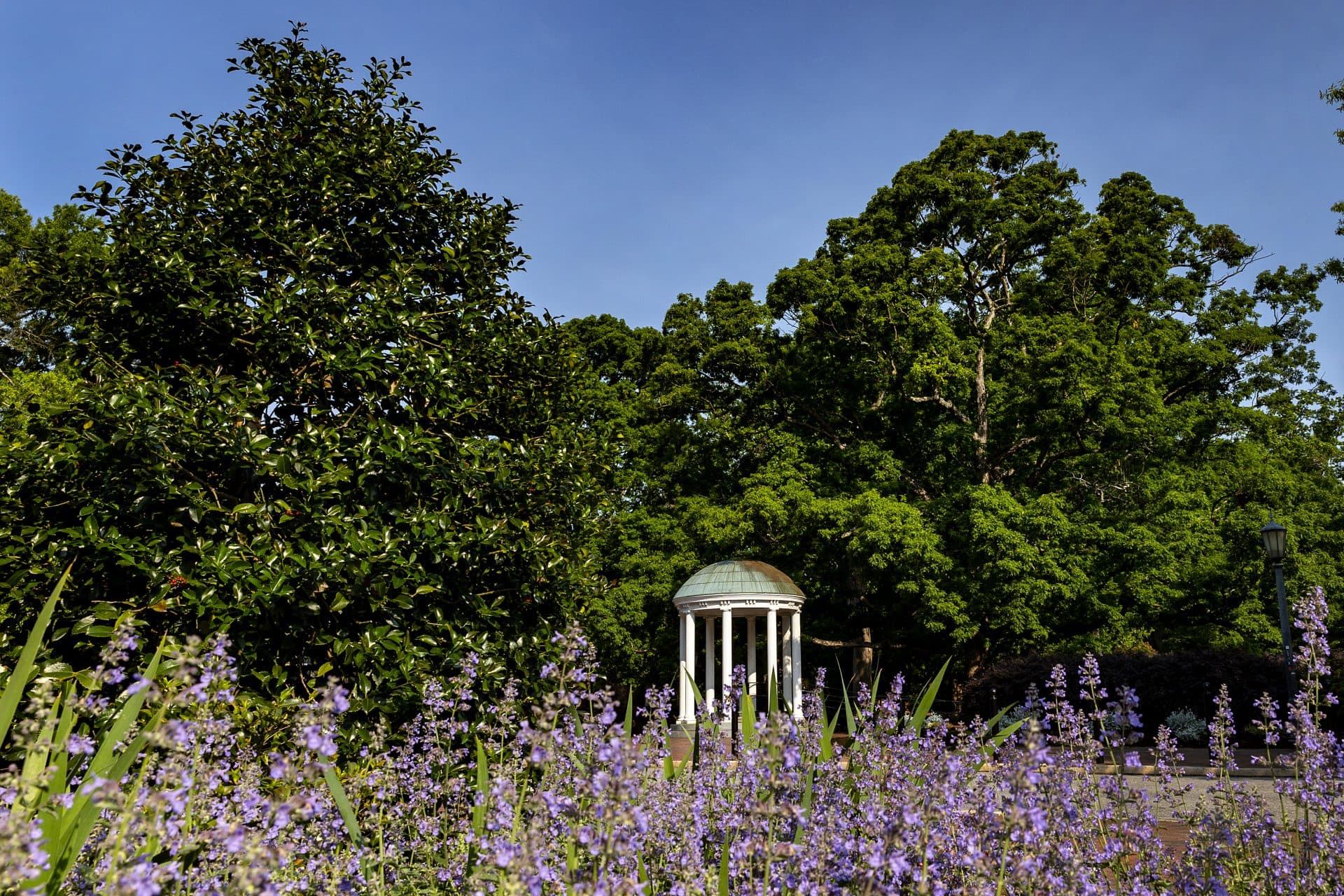 Purple flowers and trees surround the Old Well on a sunny day.