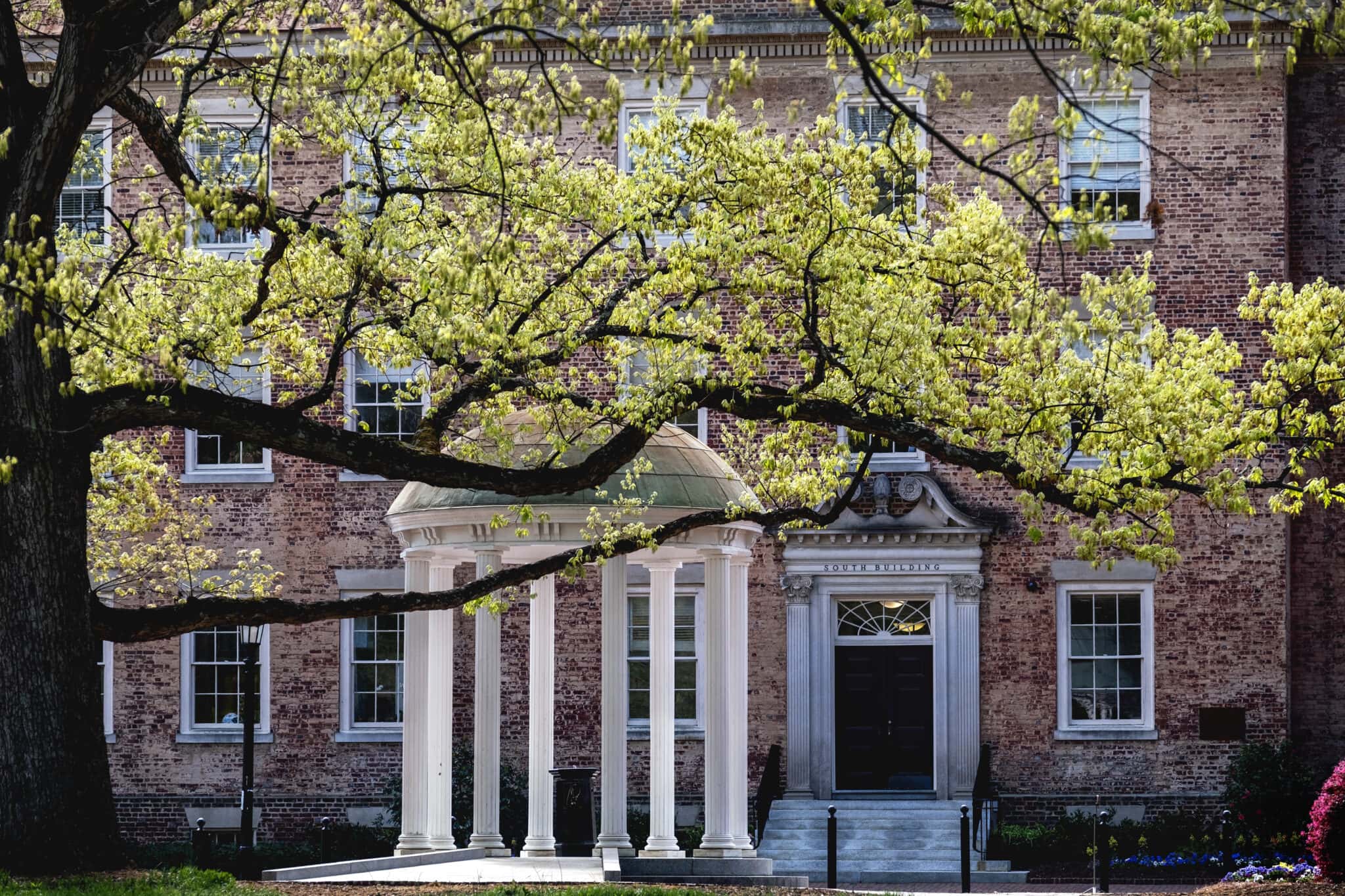 Introducing the MoreheadCain Class of 2028 MoreheadCain