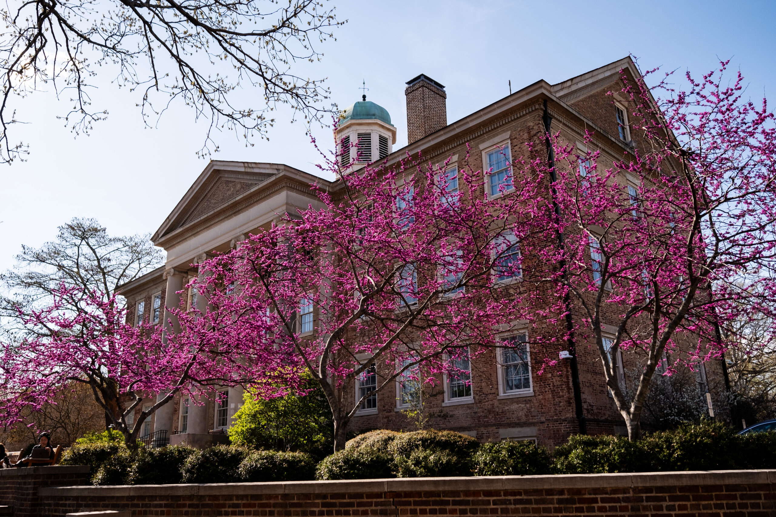 Spring campus scene near South Building on the campus of the University of North Carolina at Chapel Hill. March 25, 2025.