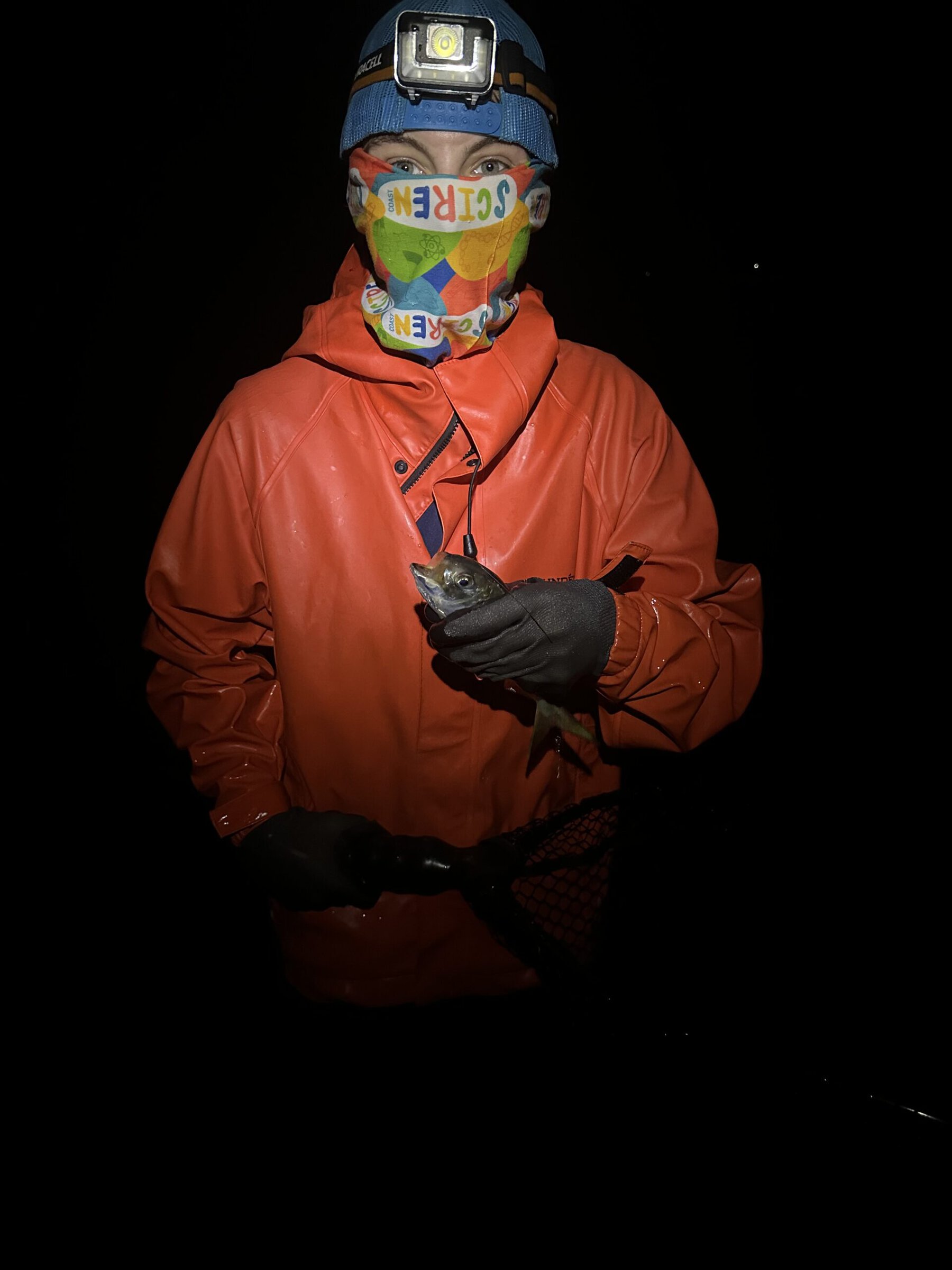 Alexandra Newmark ’27 holds a fish during a nighttime survey exploring how living shorelines affect fish movement