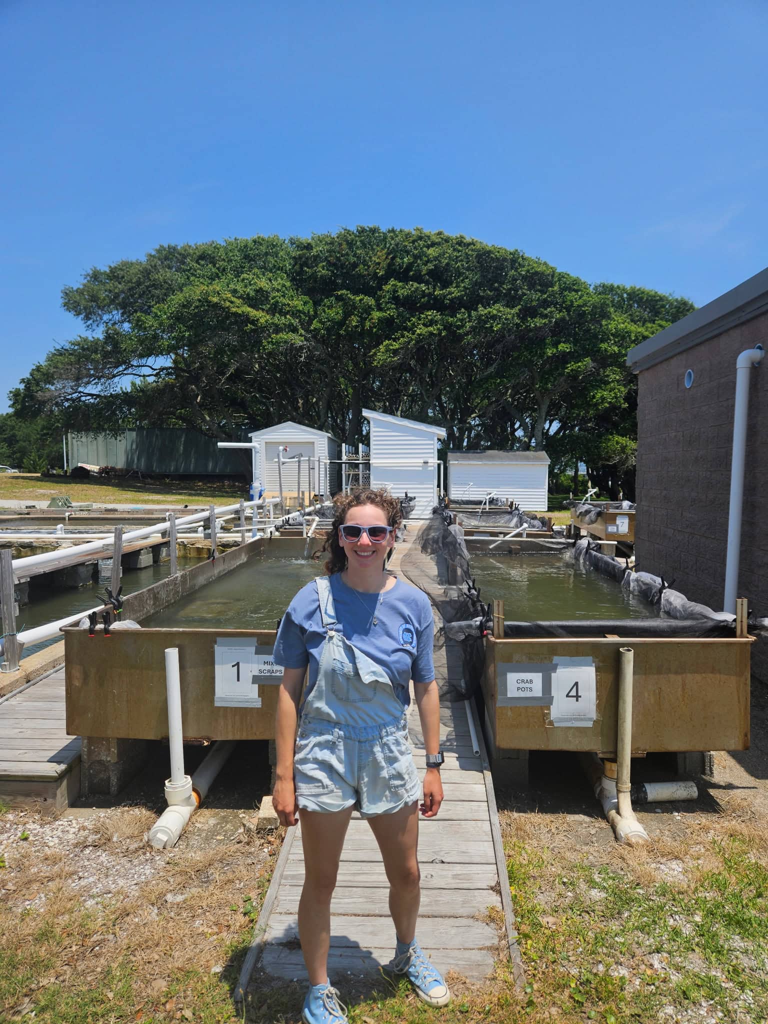 Alexandra Newmark ’27 stands in front of tanks holding seagrass seeds for a meadow restoration project at the UNC Institute of Marine Sciences in Morehead City, North Carolina. Trees are visible behind her on a sunny day.