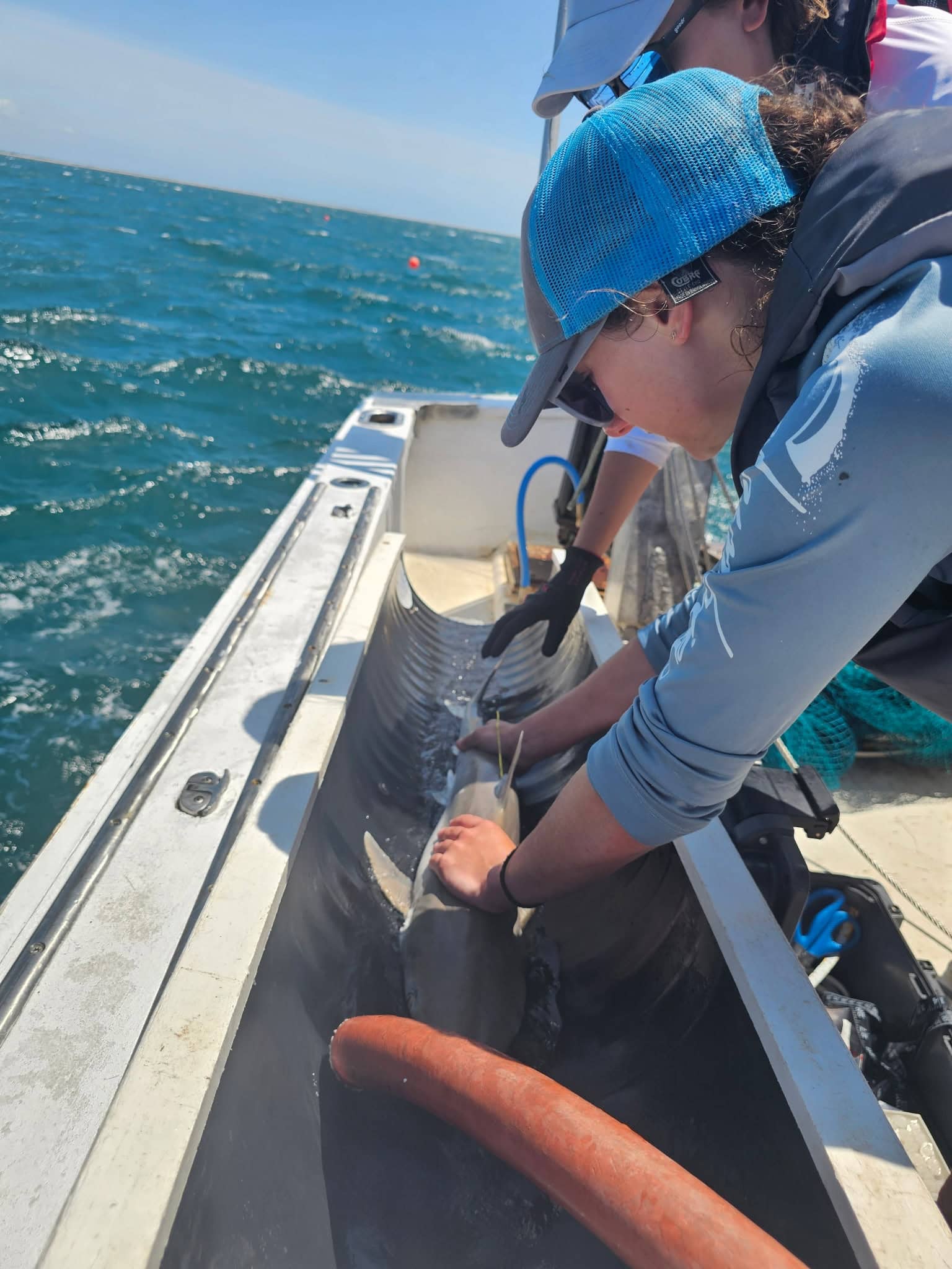 Alexandra Newmark ’27 and colleague Holly Doerr assist with data collection and shark tagging aboard a research boat off the coast of North Carolina.