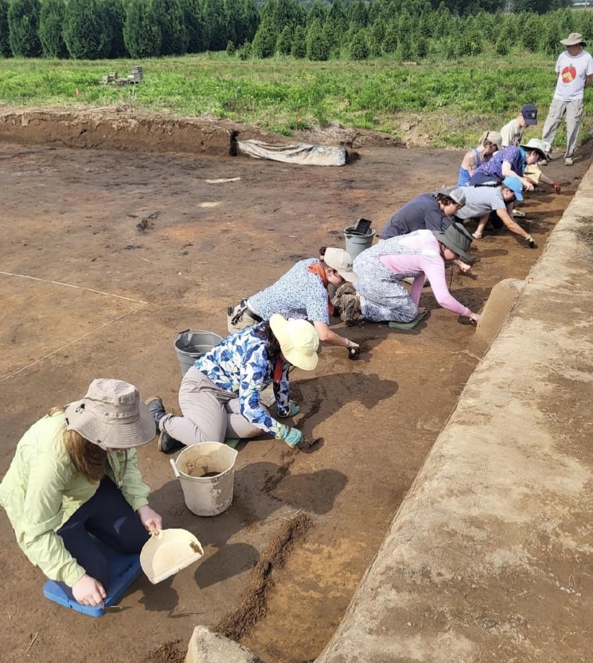 A line of people in sun hats kneel along the edge of a large excavated area, scraping the soil with trowels.